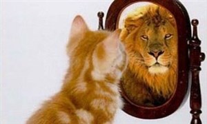 Affiche de Développer Confiance, Estime et Affirmation de soi (1/2)