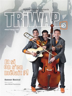 Affiche de TRIWAP : Et si on s'en mêlait ?!