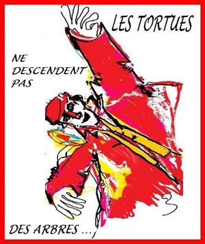 Affiche de Les tortues ne descendent pas des arbres