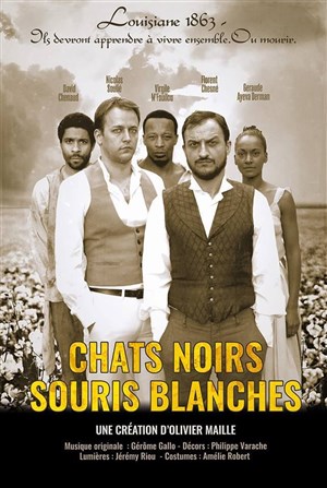 Affiche de Chats noirs souris blanches