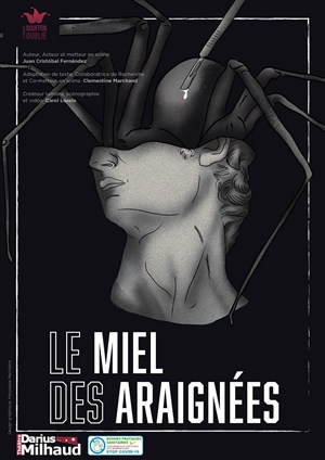 Affiche de Le miel des araignées