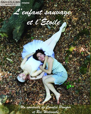 Affiche de L'enfant sauvage et l'Etoile