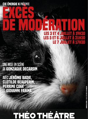 Affiche de Excès de modération