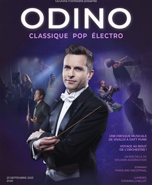 Affiche de Voyage au bout de l'orchestre