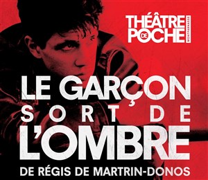Affiche de Le garçon sort de l'ombre