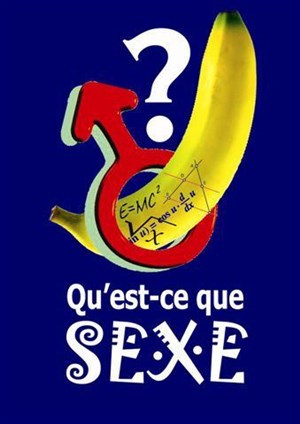 Affiche de Philippe Fargues dans Qu'est ce que sexe ?