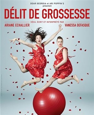 Affiche de Délit de grossesse