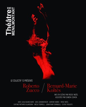 Affiche de Roberto Zucco