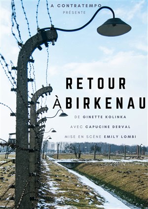Affiche de Retour à Birkenau