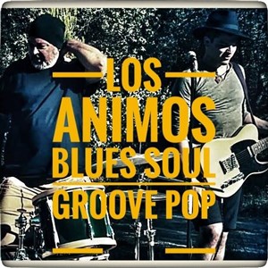 Affiche de Soirée blues soul avec Los Animos