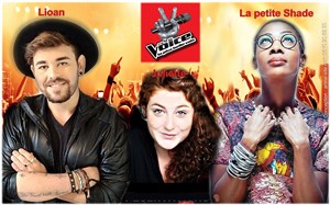 Affiche de Les Talents de The Voice 3 en concert