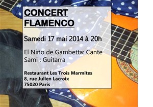 Affiche de Concert flamenco : El Niño de Gambetta