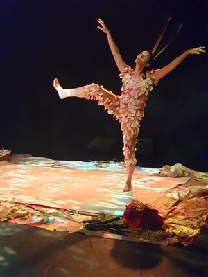 Affiche de Pirouette, la danse des quatre saisons