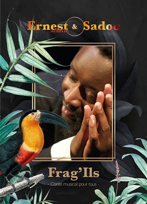 Affiche de Frag'Ils