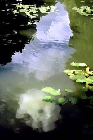 Affiche de Entre source et nuage