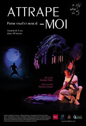 Affiche de Attrape-moi