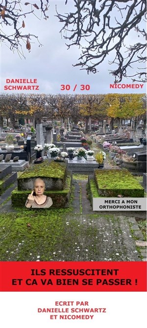 Affiche de Ils ressuscitent mais ça va bien se passer