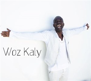 Affiche de Woz Kaly