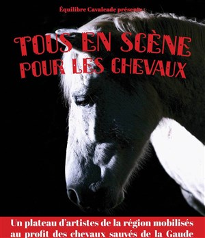 Affiche de Tous en scène pour les chevaux