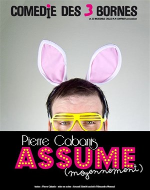 Affiche de Pierre Cabanis dans Pierre Cabanis assume (moyennement)