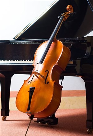 Affiche de Récital pour violoncelle et deux pianos