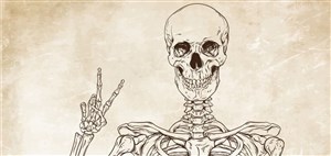 Affiche de Apprivoiser la mort, ça change la vie