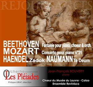Affiche de Réjouissances
