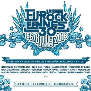 Affiche de Festival les Eurockeennes de Belfort : Camping Confort
