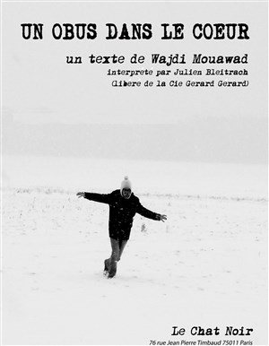 Affiche de Un obus dans le coeur