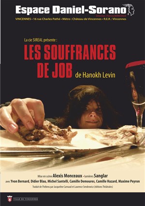 Affiche de Les souffrances de job