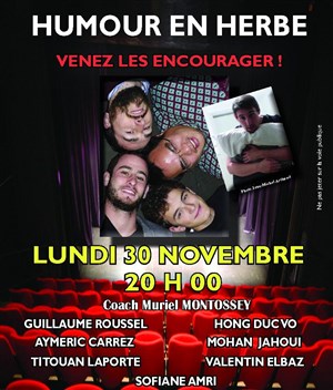 Affiche de Humour en herbe