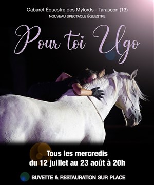 Affiche de Pour toi Ugo