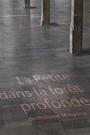 Affiche de La petite dans la forêt profonde
