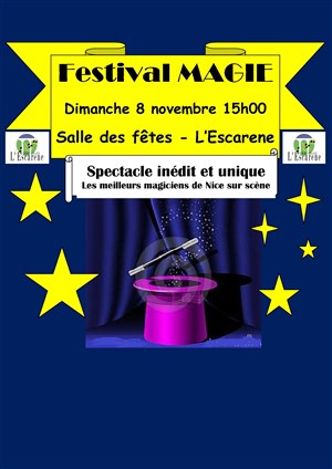 Affiche de Festival de magie