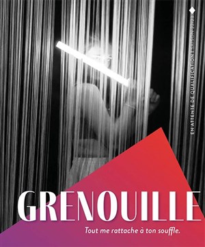 Affiche de Grenouille