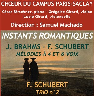 Affiche de Instants romantiques