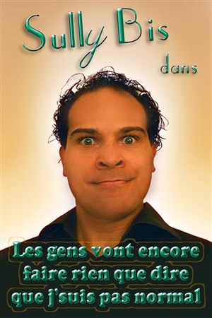 Affiche de Sully Bis dans Les gens vont encore faire rien que dire que j'suis pas normal