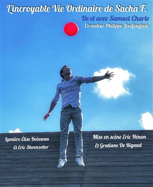 Affiche de L'incroyable vie ordinaire de Sacha F.