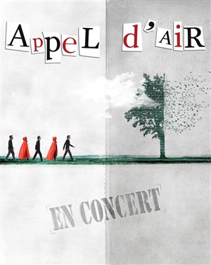 Affiche de Appel d'air