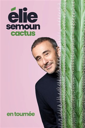 Affiche de Elie Semoun dans Cactus