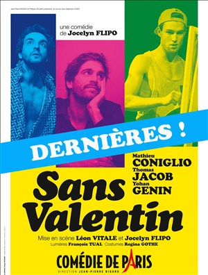 Affiche de Sans Valentin