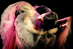 Affiche de Pour Giselle