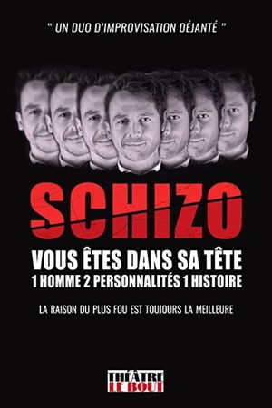 Affiche de Schizo