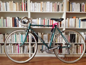 Affiche de La bibliothèque des livres vivants