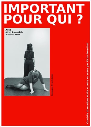 Affiche de Important pour qui ?