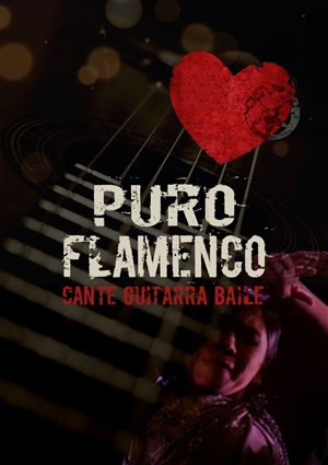 Affiche de Puro Flamenco