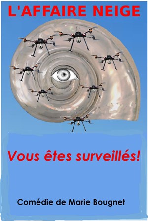 Affiche de L'affaire Neige