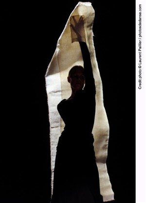Affiche de Carolyn Carlson : Density 21.5 / Dialogue with Rothko