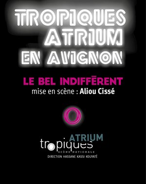 Affiche de Le Bel indifférent