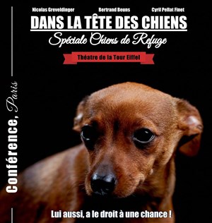 Affiche de Conférence : Dans la tête des chiens | Spéciale chiens de refuge